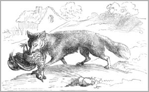 LE LOUP ET LE RENARD