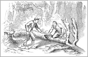 LES SOURIS ET LE CHAT-HUANT