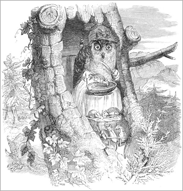 LES SOURIS ET LE CHAT-HUANT