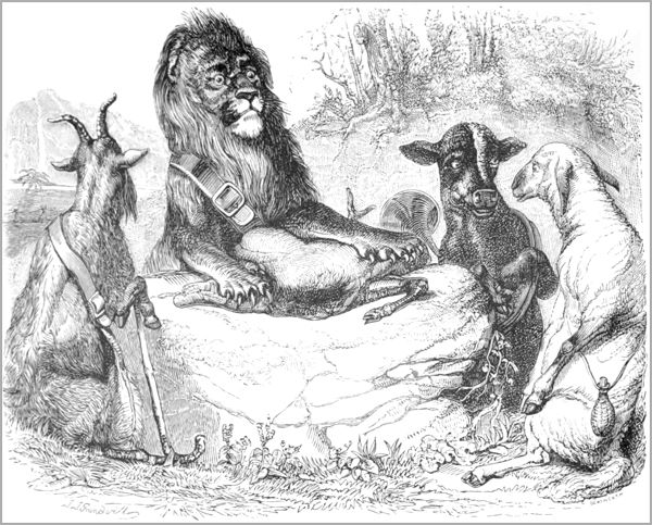 LA GÉNISSE, LA CHÈVRE ET LA BREBIS, EN SOCIÉTÉ AVEC LE LION.
