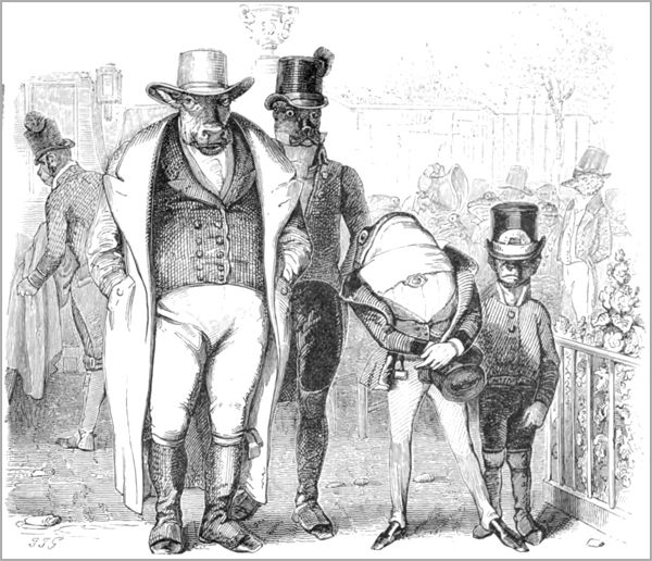 LA GRENOUILLE QUI SE VEUT FAIRE AUSSI GROSSE QUE LE BŒUF.