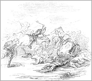 LES VOLEURS ET L’ANE