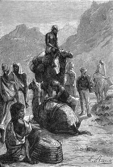 Passepartout, lui, flâna suivant sa coutume.