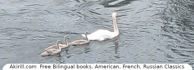 Lisez le poème “Le Cygne” par Sergueï Essénine en français avec français et russe côte à&nbsp;côte
