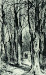 1863 - forest-path