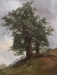 1866-old-oak