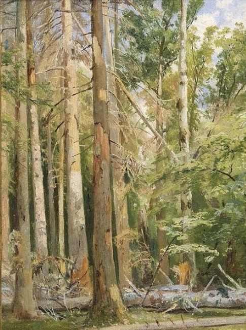 Беловеж - 1892