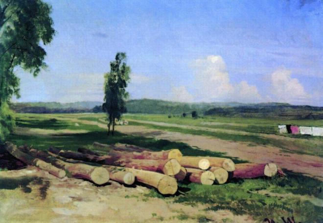 Бревна. Деревня Константиновка близ Красного села - 1869