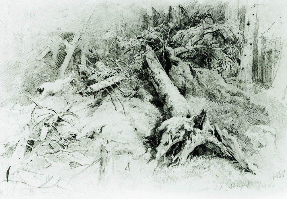 Бурелом - 1867