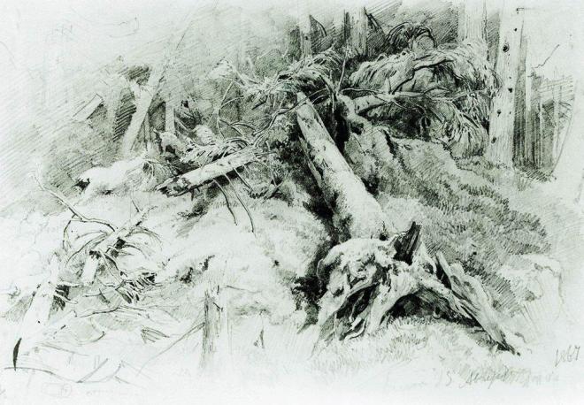 Бурелом - 1867