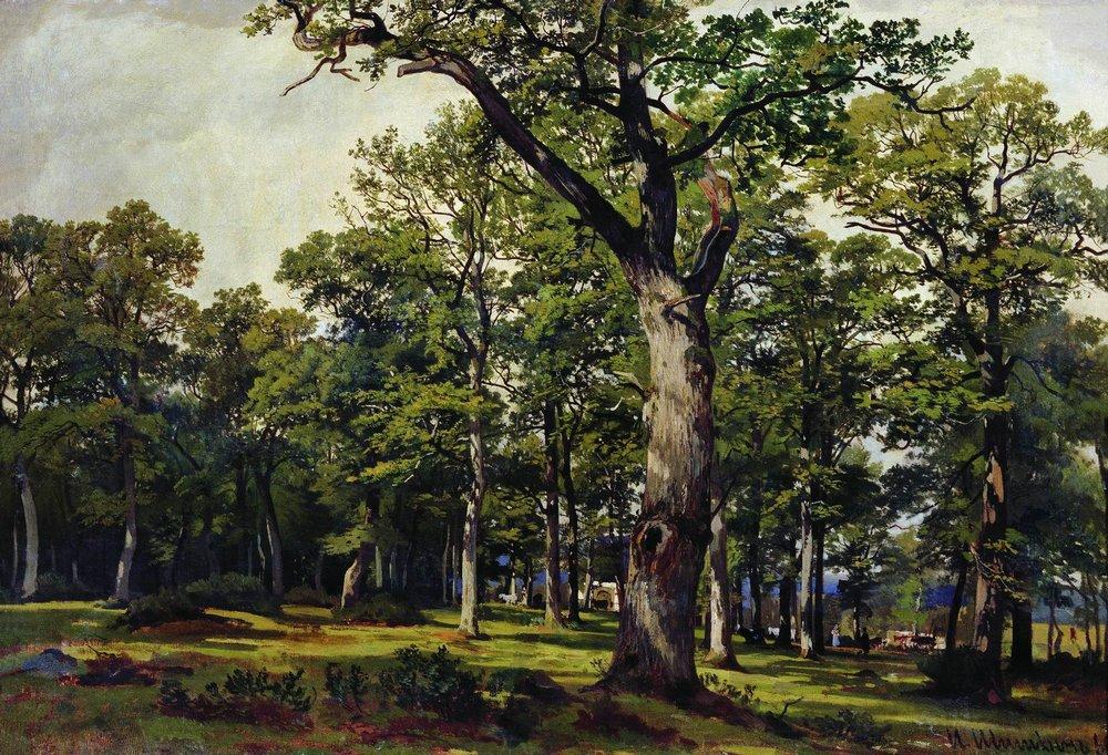 Дубовый лес - 1869