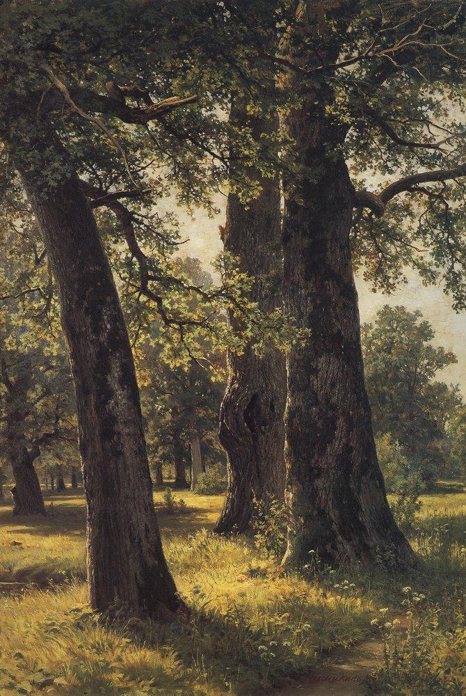 Дубы - 1887 - oaks
