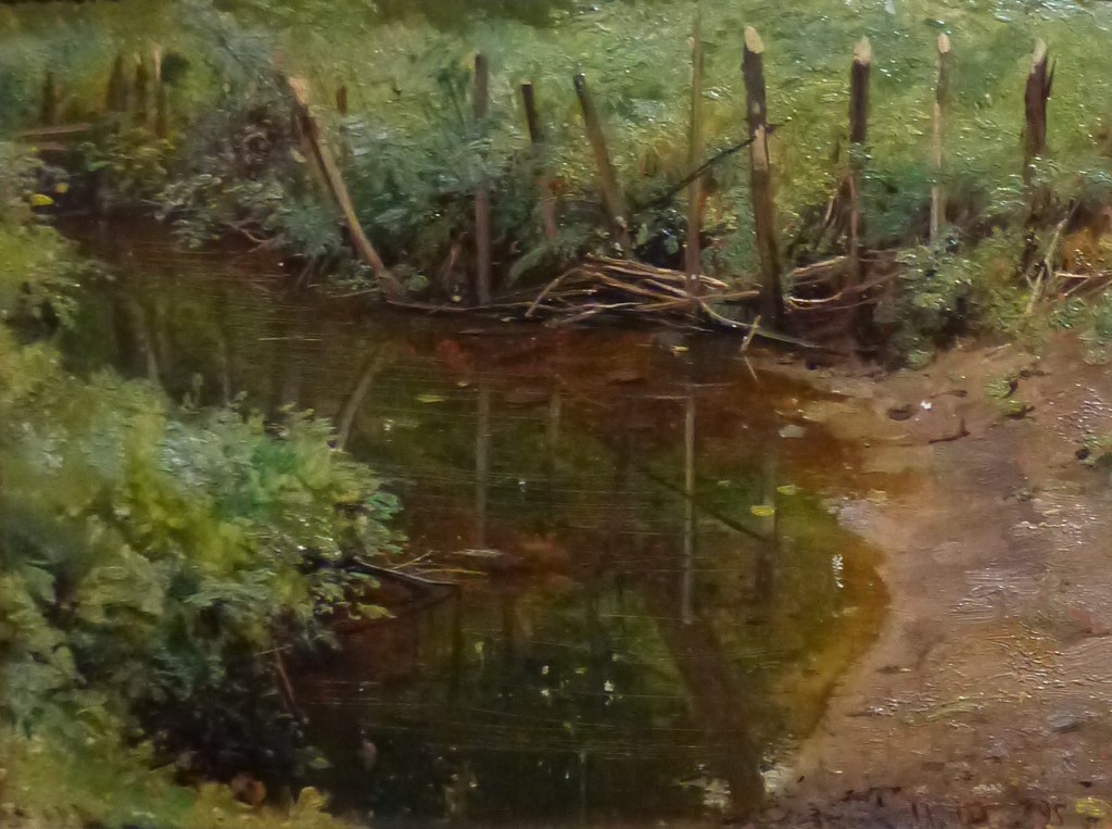 Запруда - 1895