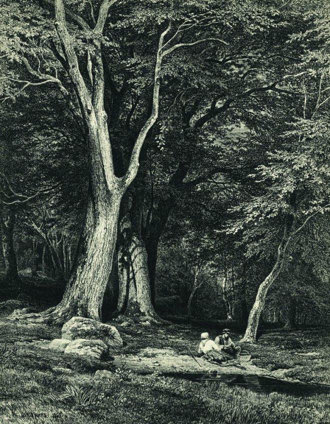 Лес - 1869