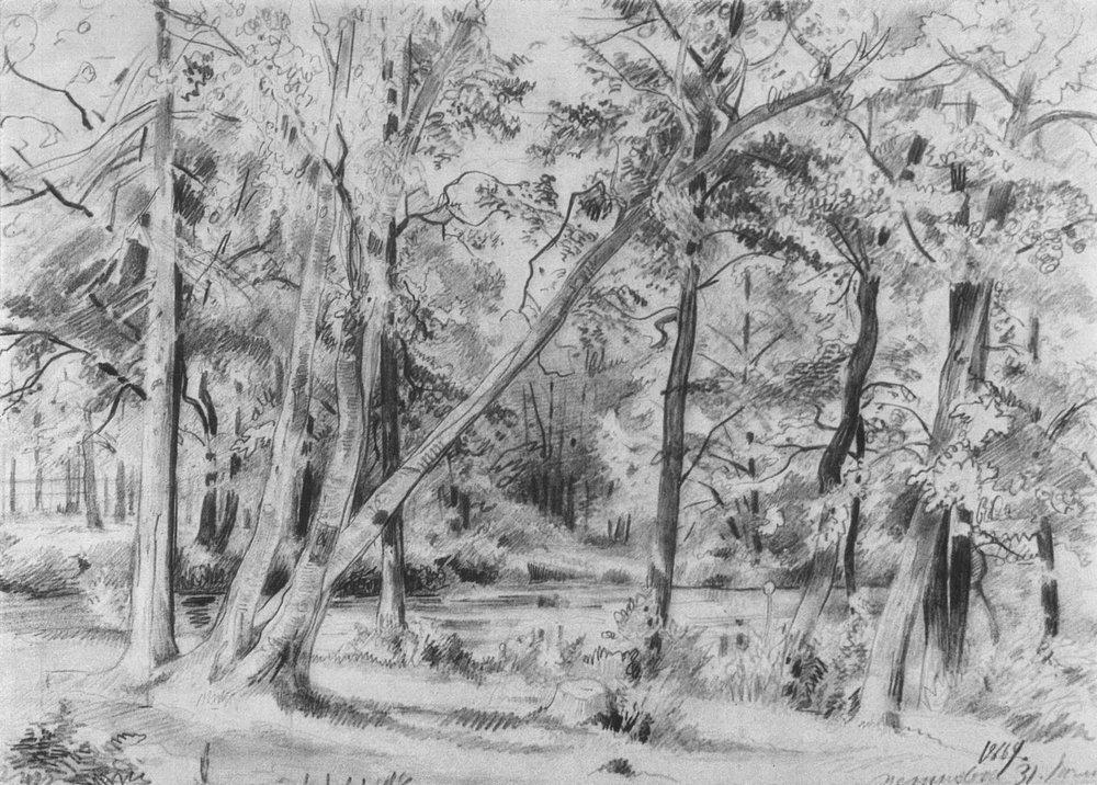 Лес - 1869 - forest
