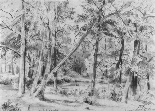 Лес - 1869 - forest