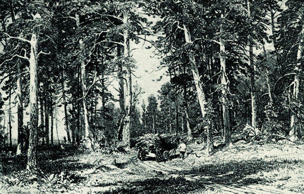 Лес - 1876 - forest