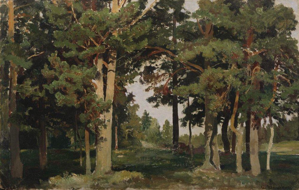 Лес - 1893 - forest