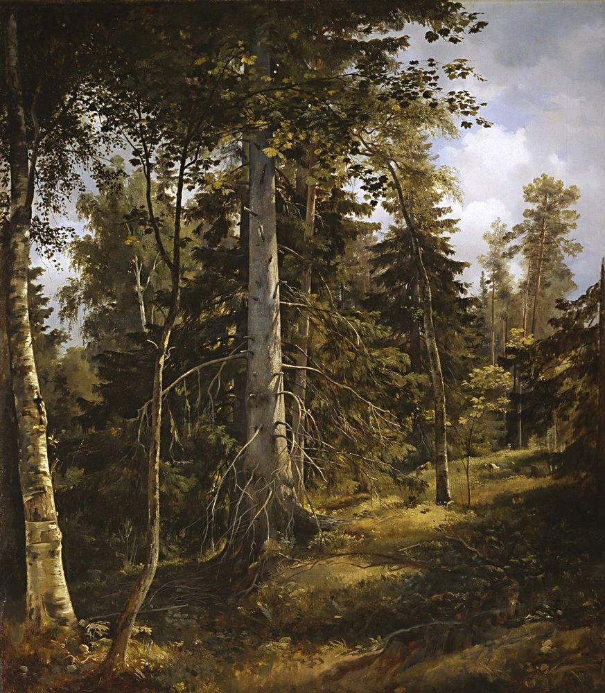 Лесная чаща - 1867