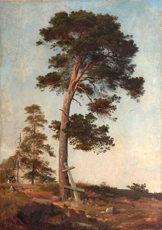 Сосна на Валааме - Pine in Valaam.  - 1858