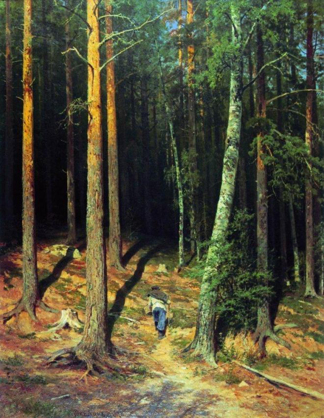 Сосновый бор - 1878