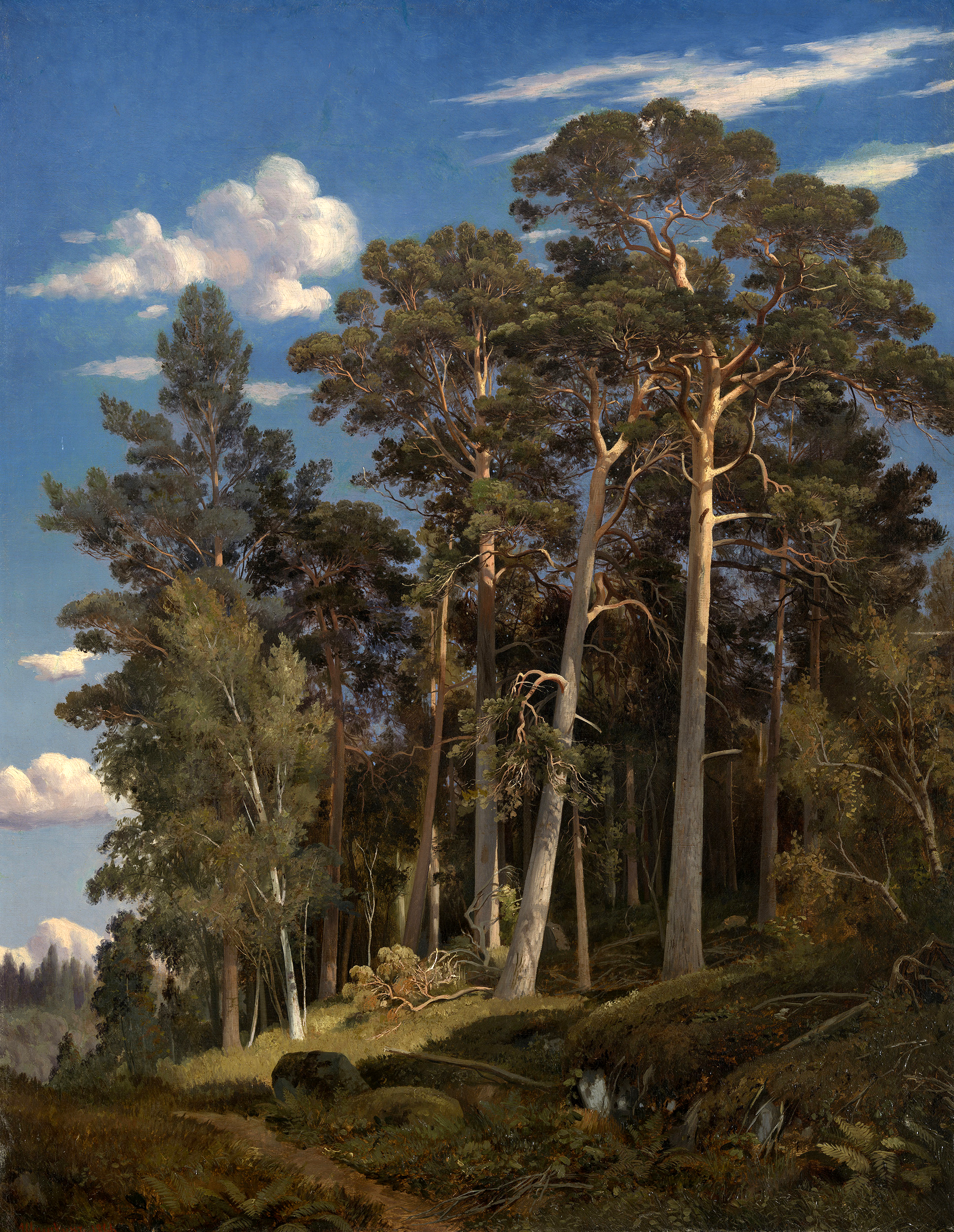 Сосновый лес - 1866
