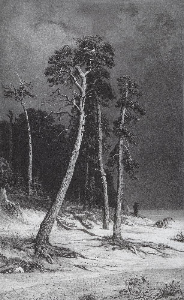 Сосны - 1885-1892 - pines