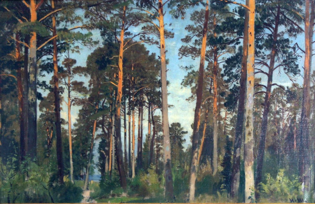 Сосны - Pines - 1890