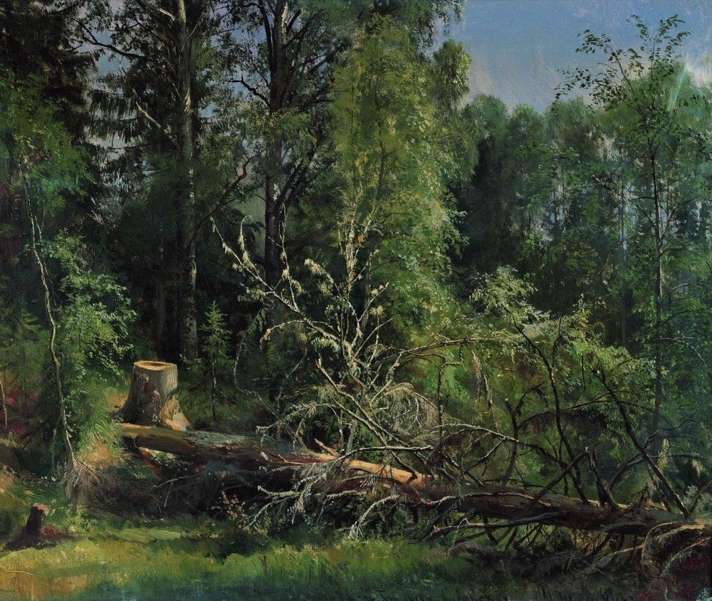 Срубленное дерево - 1875