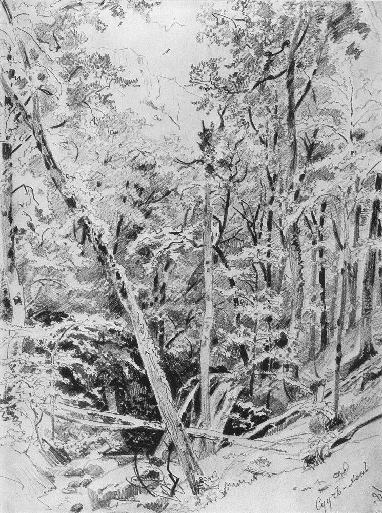 Сууч-Хан. Крым - 1879 