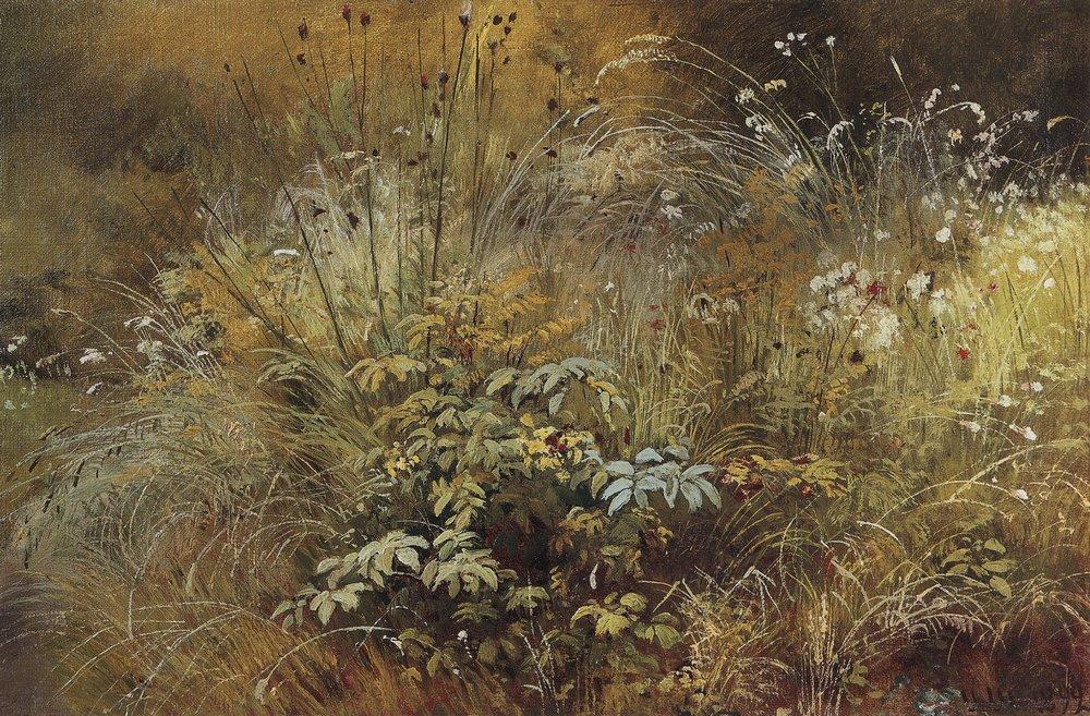 Травки - 1892 - grass