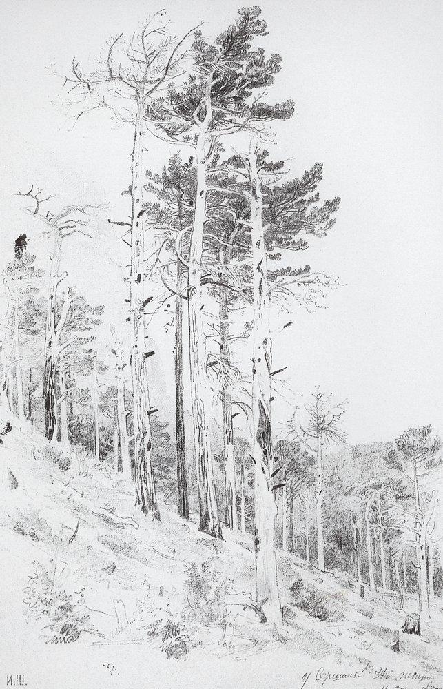 У вершины Ай-Петри - 1879 