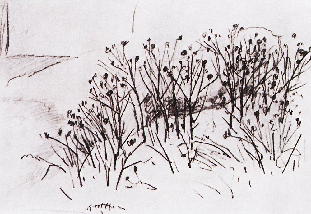 Этюд - 1884 - study