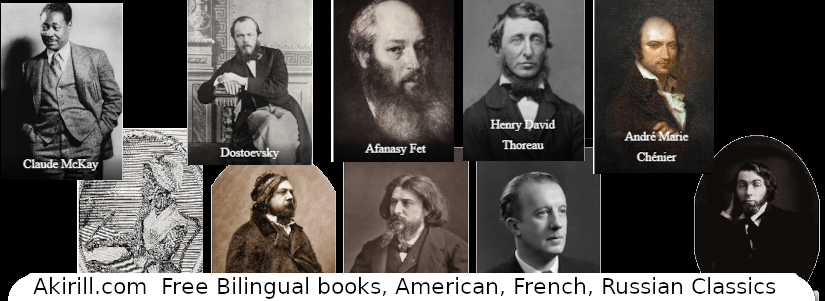 Progrès du Site semaine du 20 février&nbsp;2024