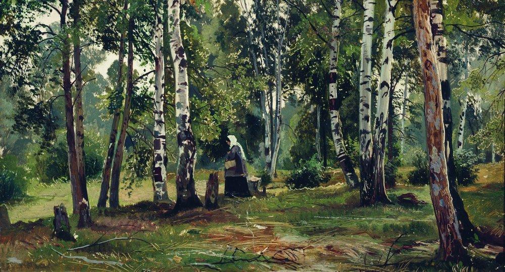Березовая роща - birch-grove