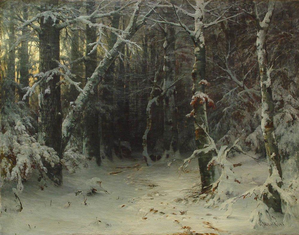 Зимний лес - Winter Forest
