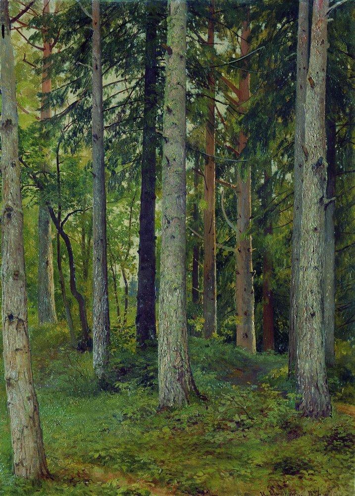 Лес - 1897 - forest