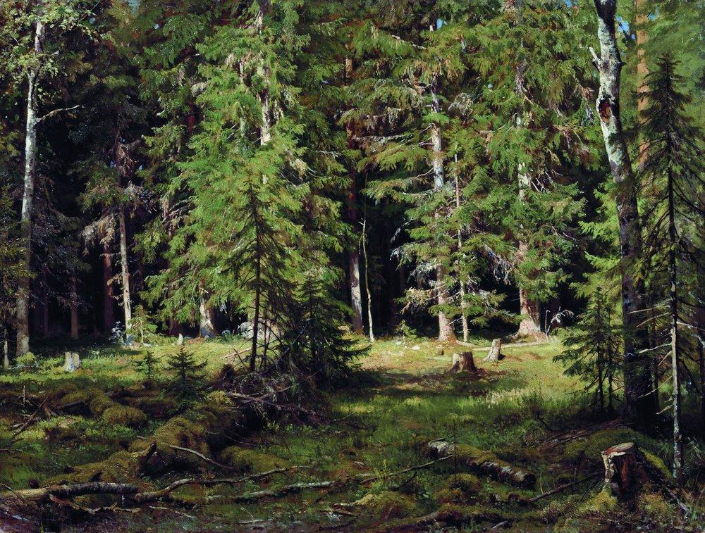 Лес - forest