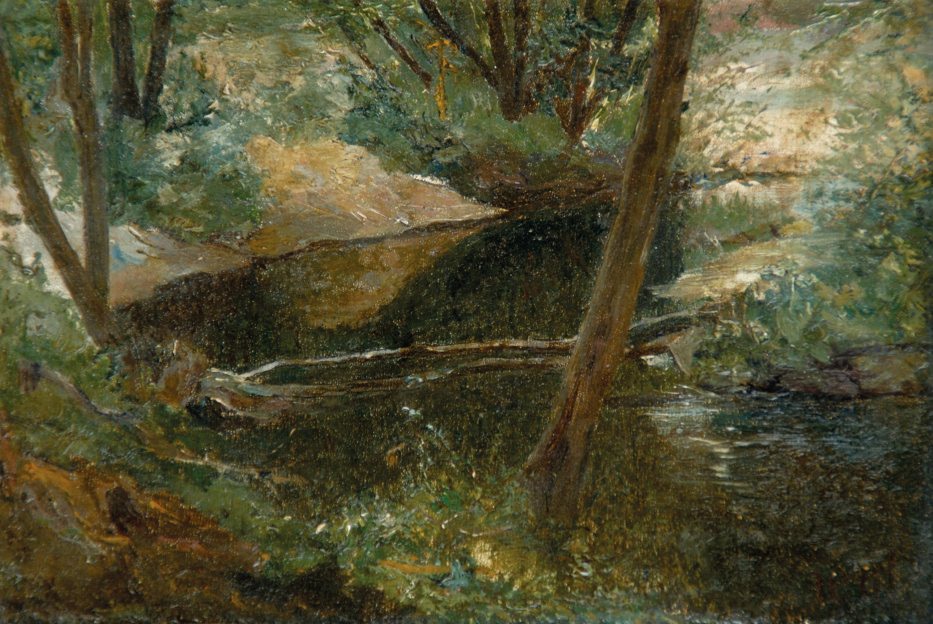 Лесной ручей - Forest stream