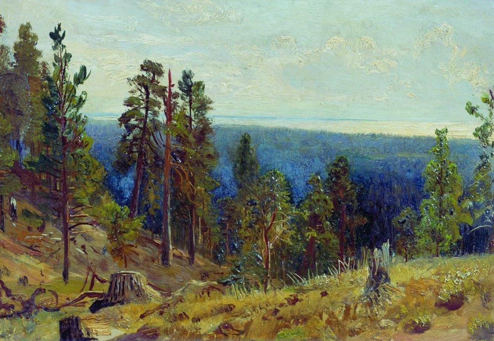 Лесные дали - Forest horizont