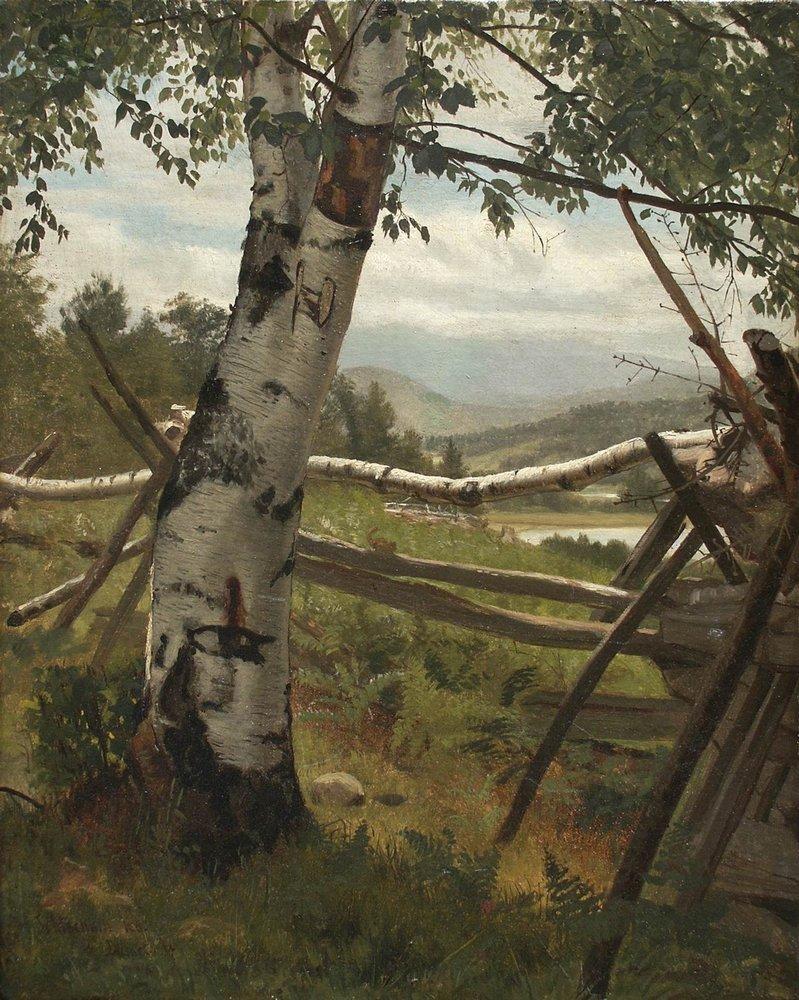 Летний пейзаж с березой - Summer Landscape with birch