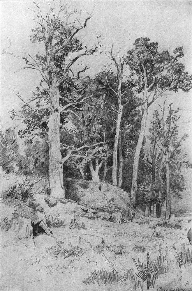 На взморье. Сестрорецк - On the seashore. Sestroreck