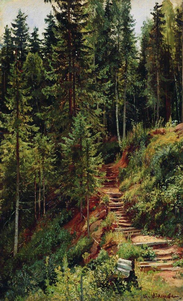 Тропинка в лесу - The path in the forest