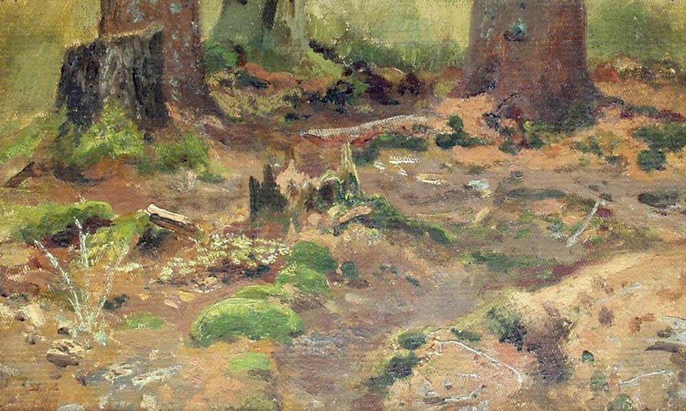 Этюд. Лес - Study. Forest