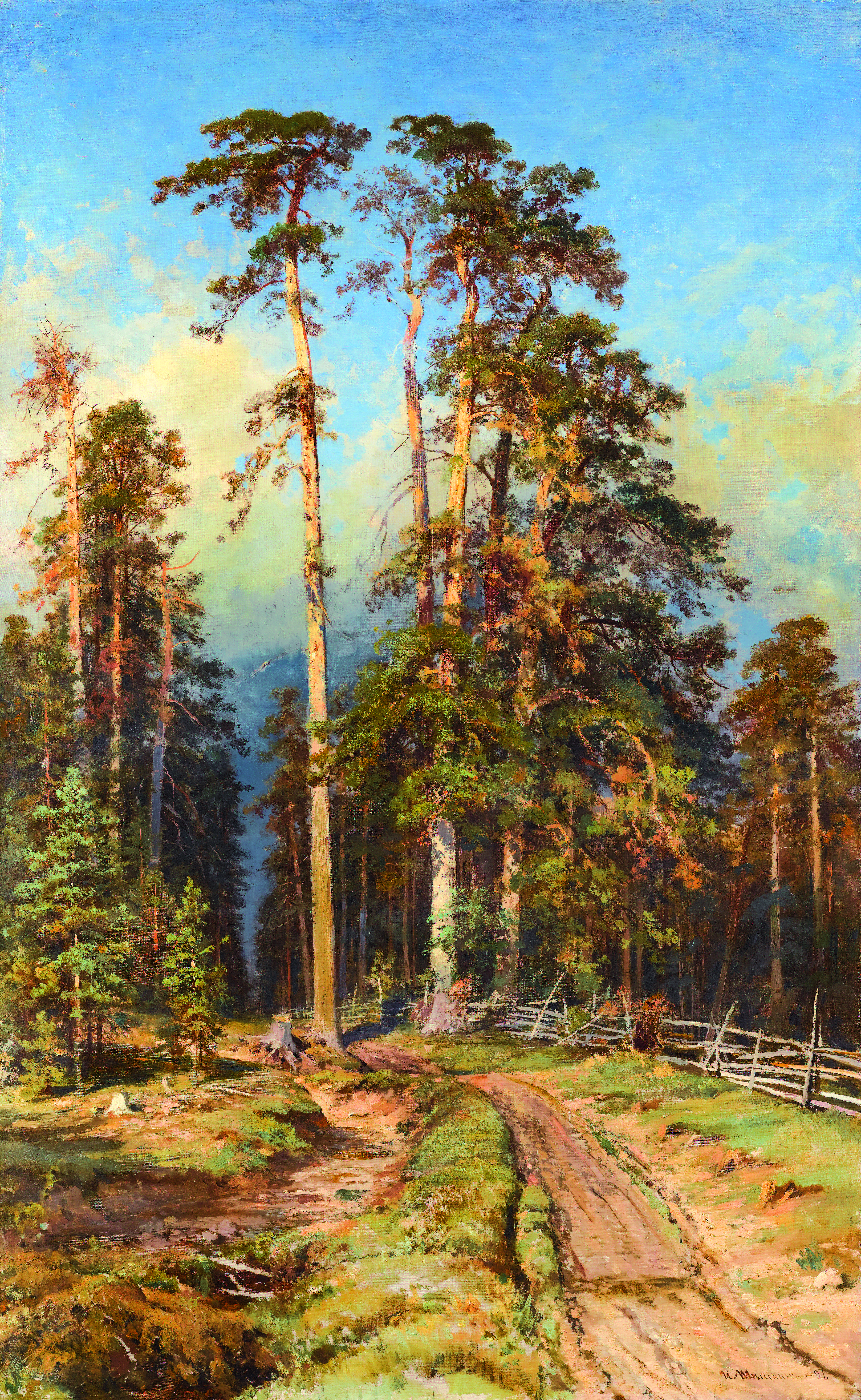 Сосновый лес - Pine forest