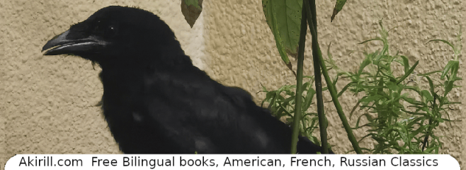 Oh Pacha … et quelques photos de nos oiseaux&nbsp;secourus